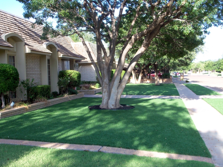 Fake Grass Moapa Town Nevada Lawn