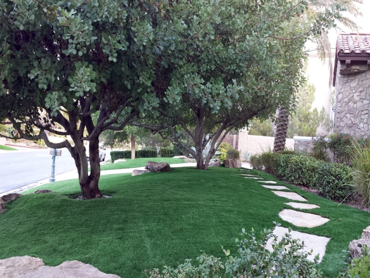 Fake Grass Moapa Town Nevada Landscape