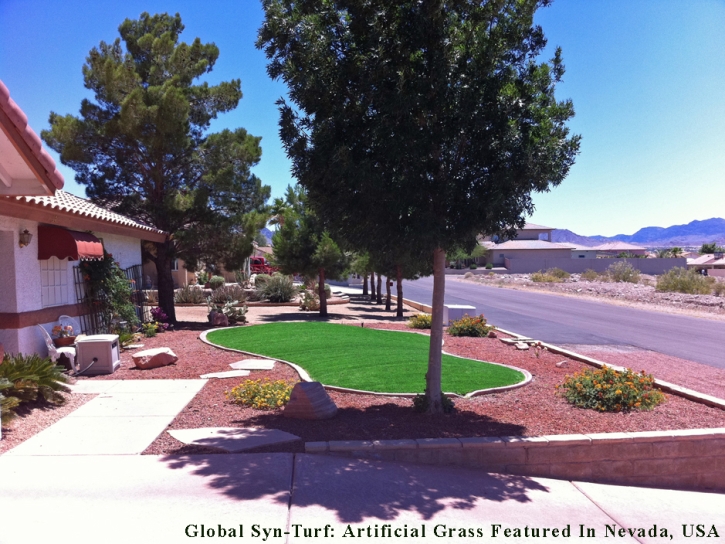 Fake Grass Nellis Air Force Base Nevada Landscape