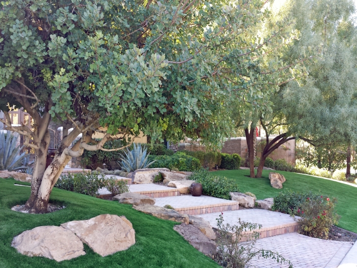 Fake Grass Nelson Nevada Landscape