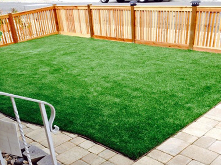 Fake Grass Nelson Nevada Landscape