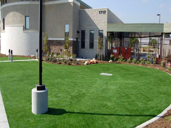 Fake Grass Nelson Nevada Lawn