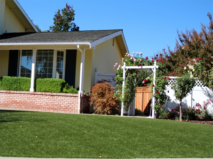 Fake Grass Paradise Nevada Lawn