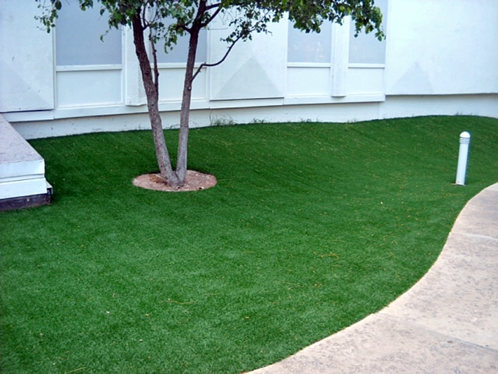 Fake Grass Paradise Nevada Lawn