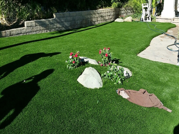 Fake Grass Searchlight Nevada Landscape