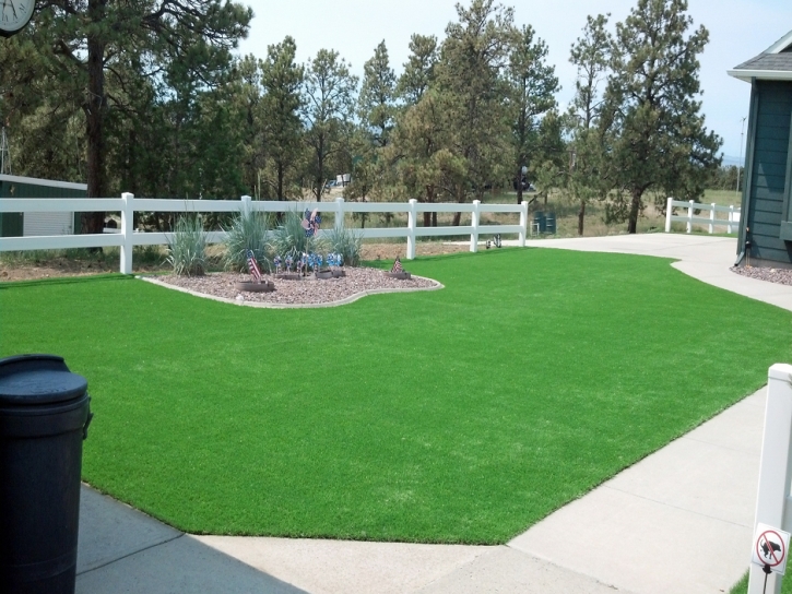 Fake Grass Searchlight Nevada Lawn