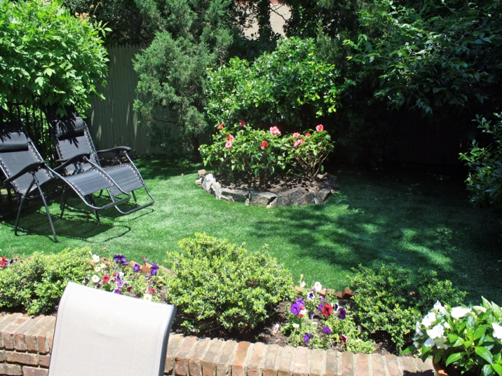 Fake Grass Searchlight Nevada Lawn