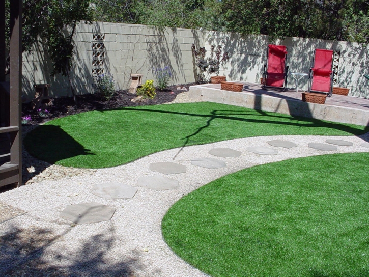 Fake Grass Spring Valley Nevada Lawn