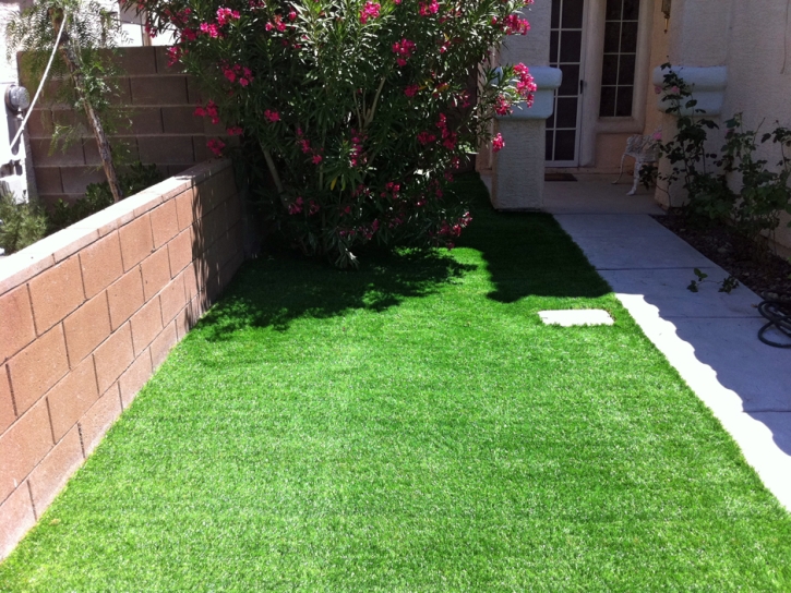 Fake Grass Winchester Nevada Landscape