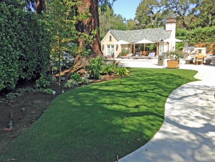 Fake Grass Winchester Nevada Landscape