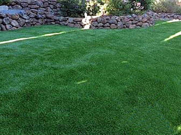 Fake Pet Turf Blue Diamond Nevada Installation