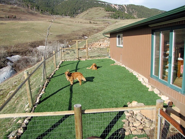 Fake Pet Turf Boulder City Nevada Installation