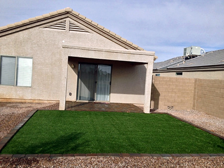 Fake Pet Turf Indian Springs Nevada for Dogs
