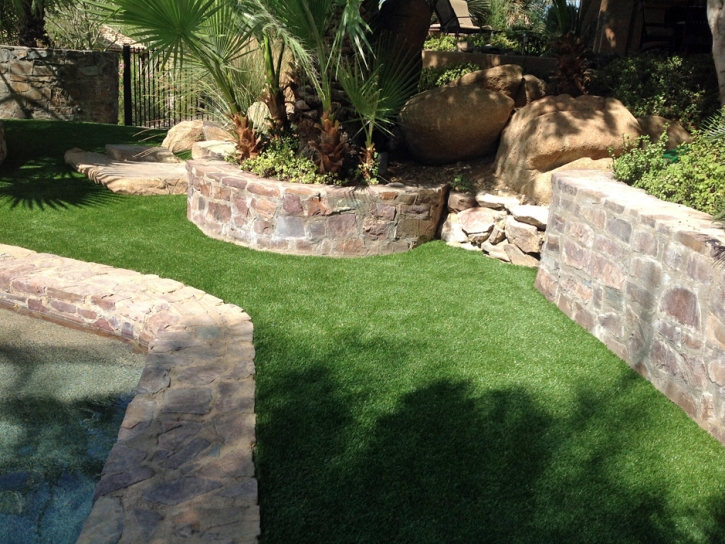 Fake Pet Turf Mount Charleston Nevada Installation