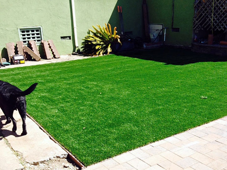 Fake Pet Turf Pahrump Nevada Installation