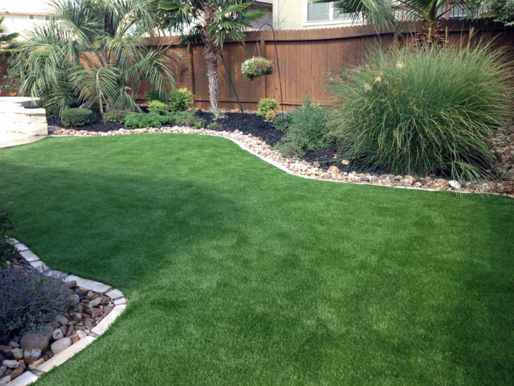 Fake Pet Turf Summerlin South Nevada for Dogs