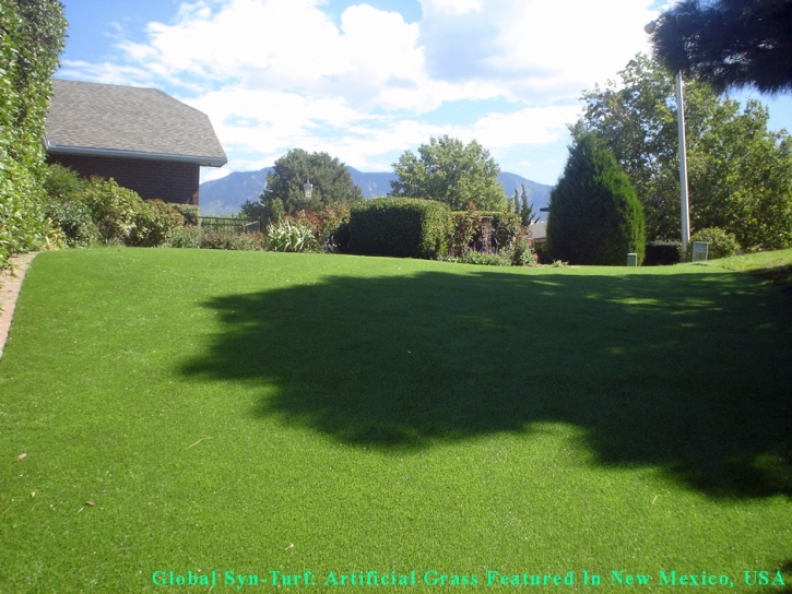 Fake Pet Turf Whitney Nevada for Dogs