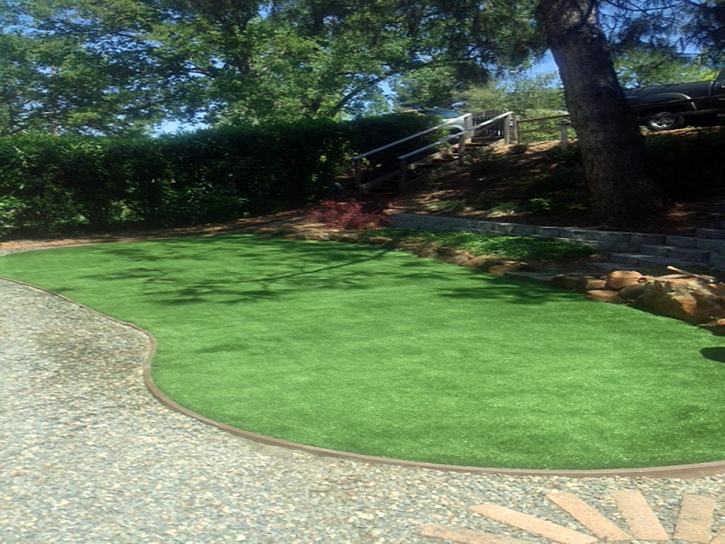 Fake Turf Cal-Nev-Ari Nevada Lawn