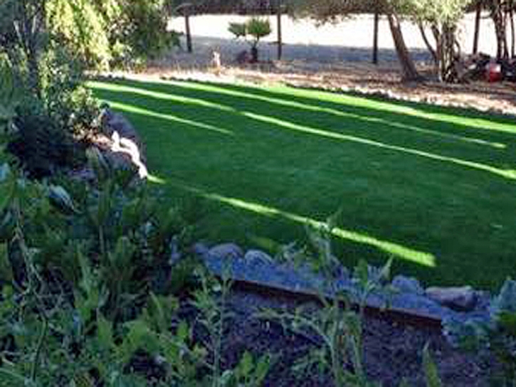 Fake Turf Goodsprings Nevada Lawn