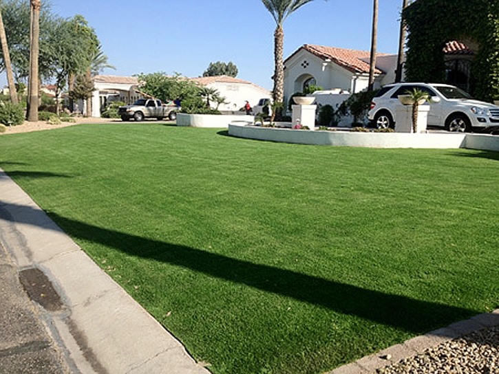 Fake Turf Moapa Town Nevada Landscape