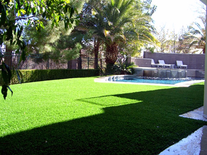 Fake Turf Moapa Town Nevada Landscape