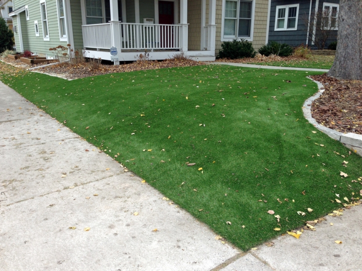 Fake Turf Mount Charleston Nevada Lawn