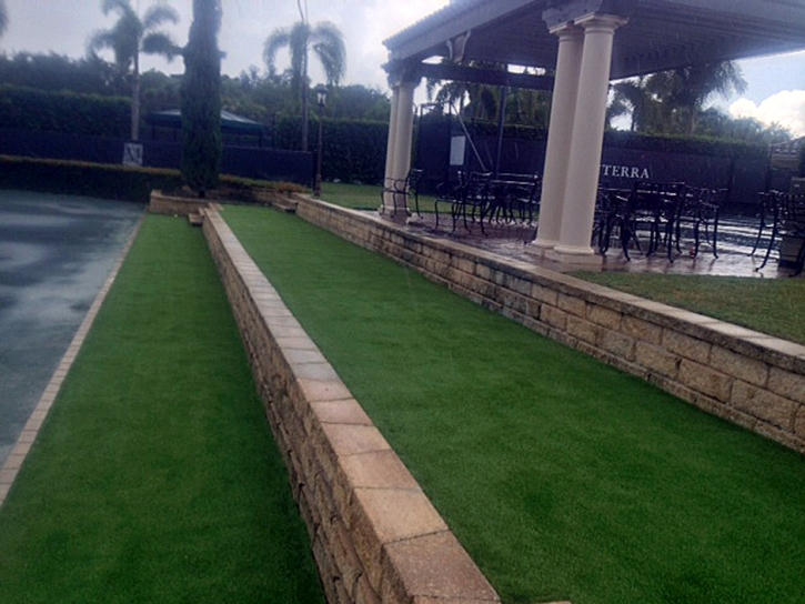 Fake Turf Mount Charleston Nevada Lawn