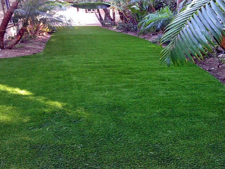 Fake Turf Mount Charleston Nevada Lawn