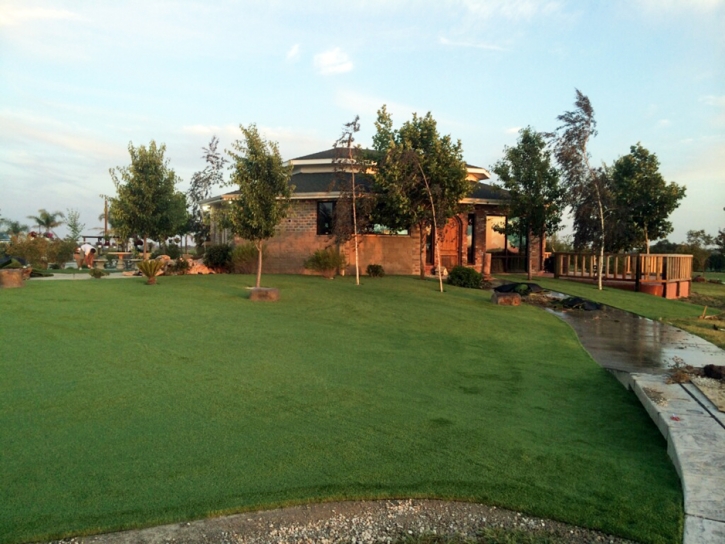 Fake Turf Nelson Nevada Lawn