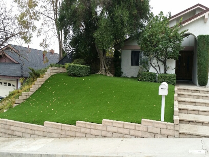 Fake Turf Pahrump Nevada Landscape