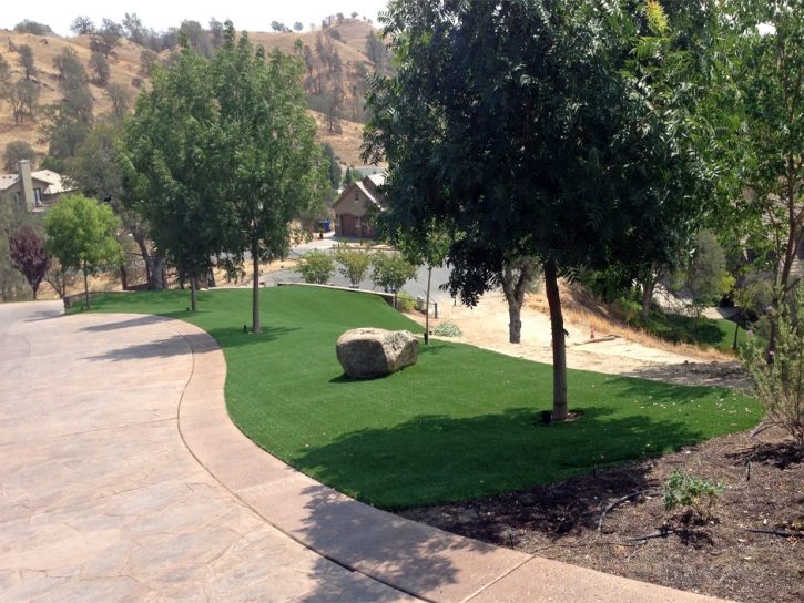 Fake Turf Paradise Nevada Landscape