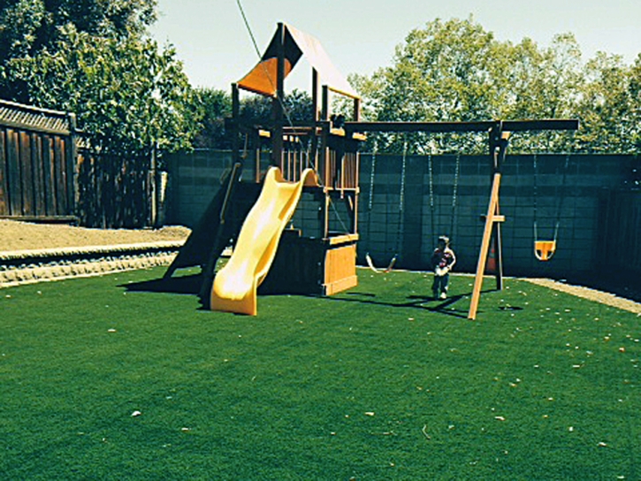 Fake Turf Paradise Nevada School