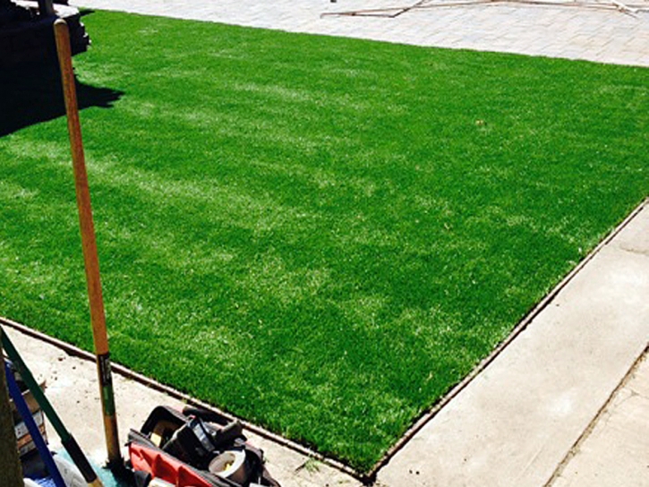 Fake Turf Spring Valley Nevada Lawn