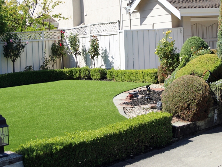 Fake Turf Spring Valley Nevada Lawn