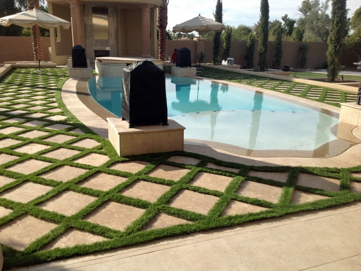 Fake Turf Spring Valley Nevada Landscape