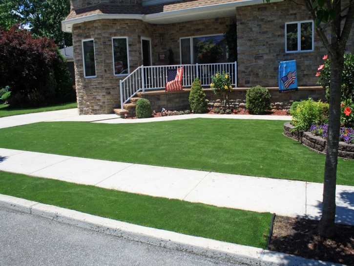 Fake Turf Whitney Nevada Lawn