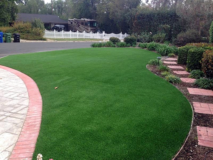 Fake Turf Winchester Nevada Lawn