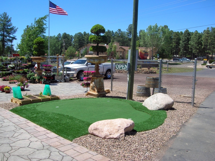 Golf Putting Greens Enterprise Nevada Synthetic Grass