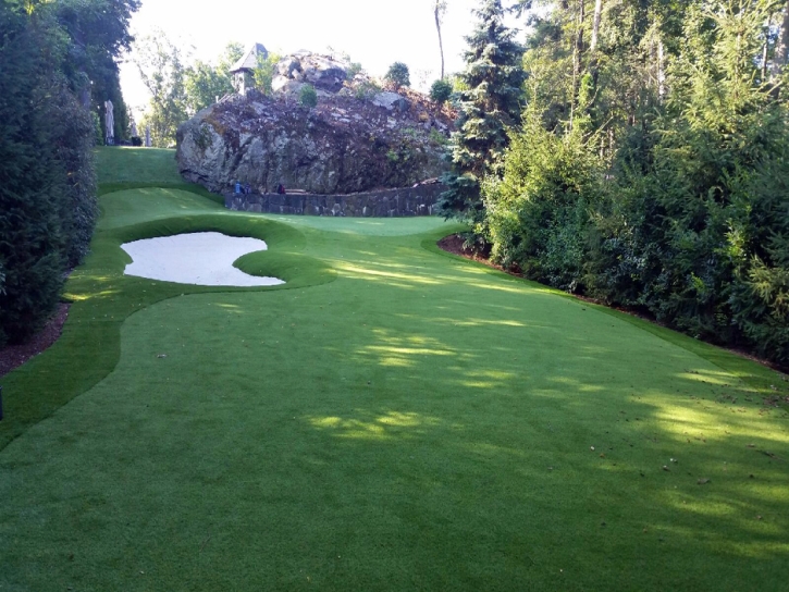 Golf Putting Greens Mount Charleston Nevada Fake Grass
