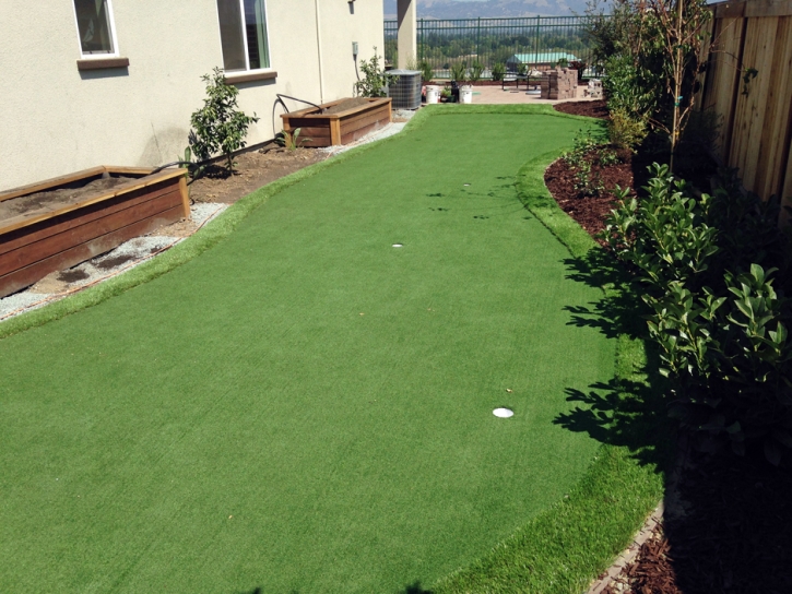 Golf Putting Greens Mount Charleston Nevada Fake Grass