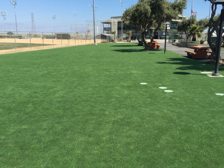 Grass Carpet Lund, Nevada Home And Garden, Recreational Areas