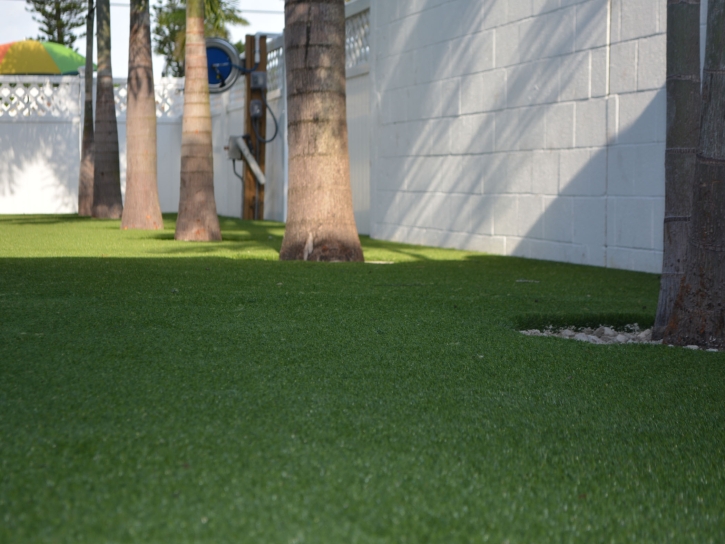 Grass Turf Ursine, Nevada Lawn And Landscape, Commercial Landscape