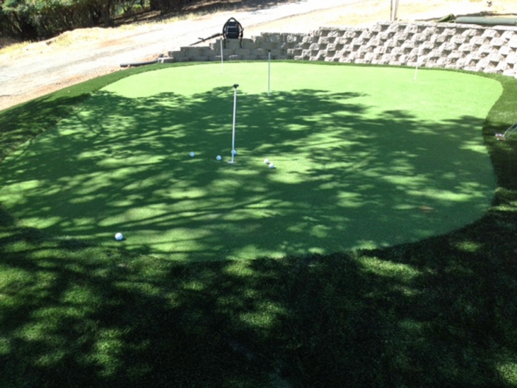 Putting Greens Paradise Nevada Fake Turf