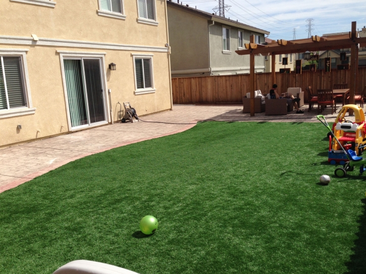 Synthetic Grass Beatty, Nevada Paver Patio, Backyard Landscape Ideas