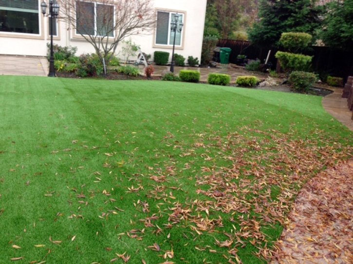 Synthetic Grass Blue Diamond Nevada Landscape