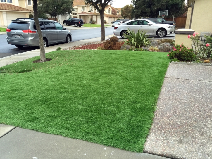 Synthetic Grass Boulder City Nevada Lawn