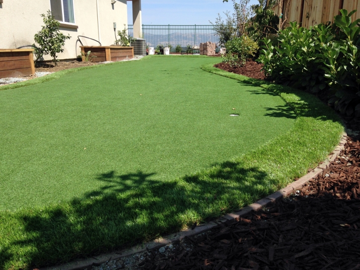 Synthetic Grass Boulder City Nevada Landscape