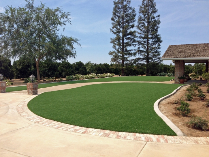 Synthetic Grass Enterprise Nevada Landscape