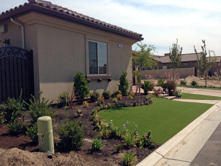 Synthetic Grass Enterprise Nevada Lawn
