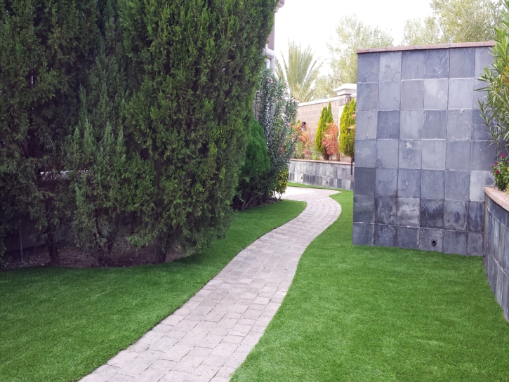 Synthetic Grass Goodsprings Nevada Landscape